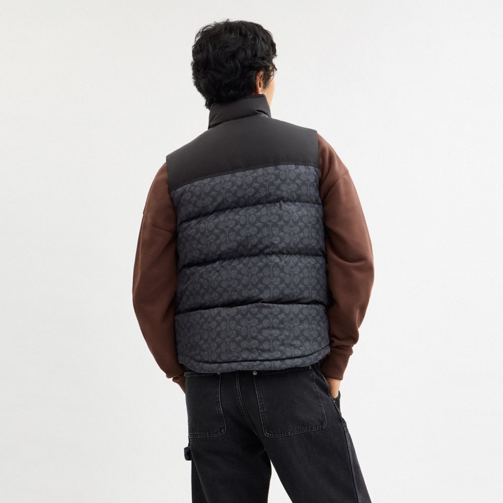 COACH®,Signature Down Vest In Recycled Polyester,Down,Vest,Quilted,Color Block,Sustainable,Casual,Gray,Scale View