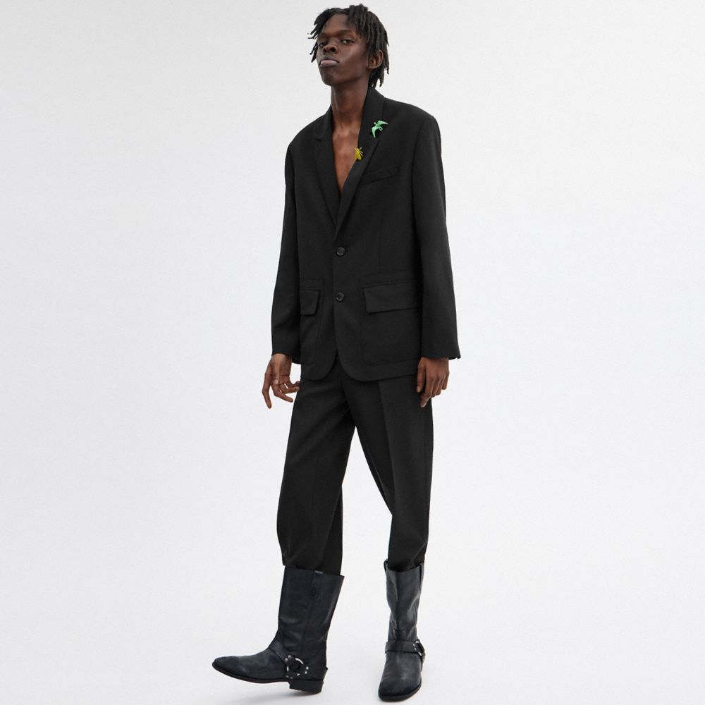 COACH®,Tailored Blazer,Wool,Polyester,Cupro,Blazer,No Embellishment,Work,Black,Scale View