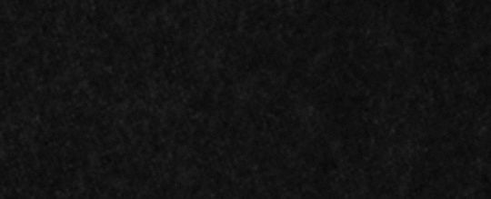 COACH®,Horse And Carriage Print Oversized Muffler,Wool,Rectangle,Fringe,Casual,Black