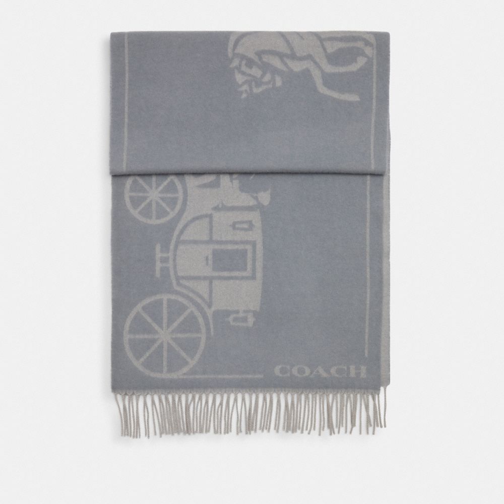 COACH®,Horse And Carriage Print Oversized Muffler,Wool,Rectangle,Fringe,Casual,Gray,Front View