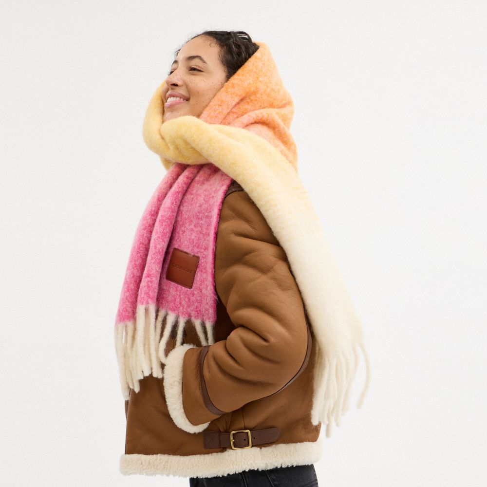 COACH®,Ombre Muffler With Leather Patch,Alpaca,Rectangle,Logo,Fringe,Applique,Casual,Multi Color,Detail View