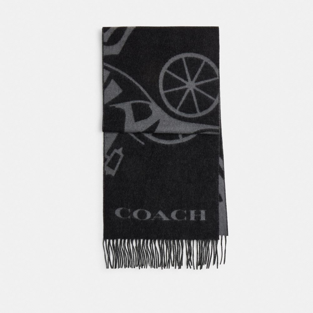 COACH®,Horse And Carriage Cashmere Muffler,Cashmere,Rectangle,Fringe,Casual,Black,Front View