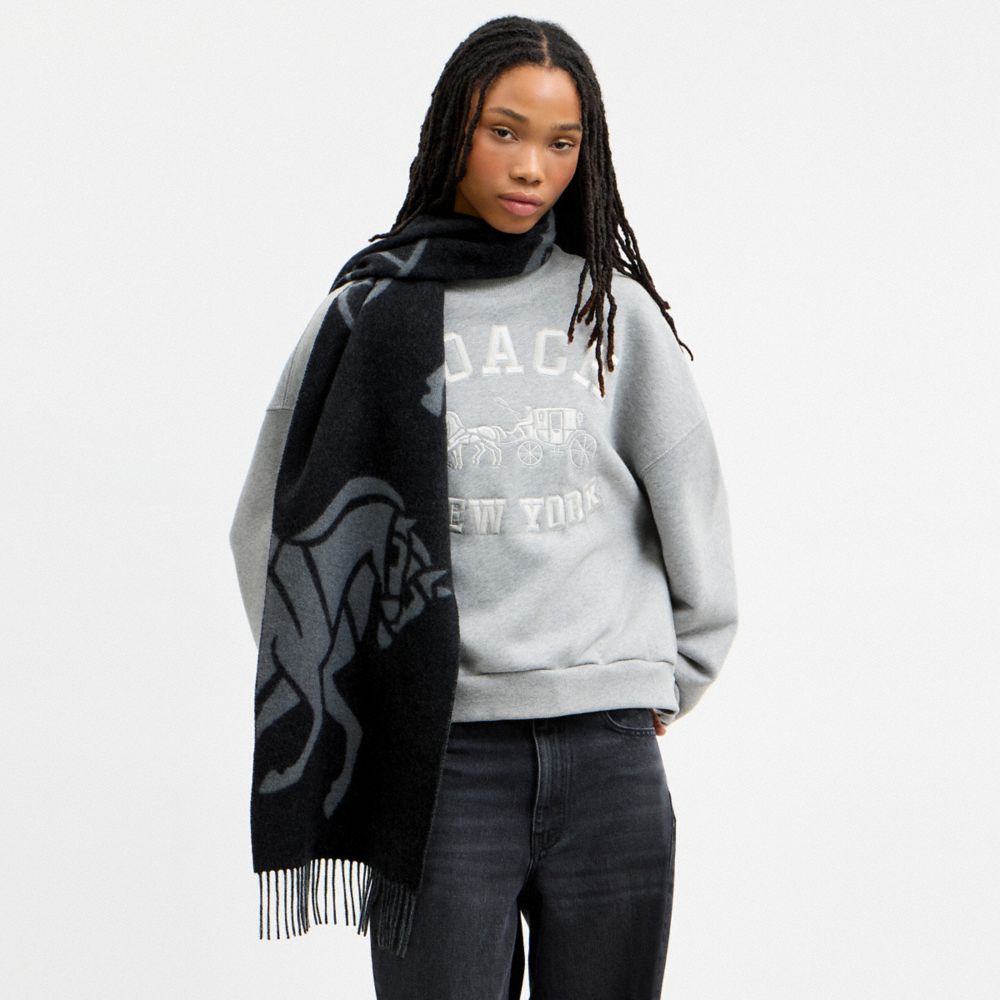 Мужские аксессуары Coach Horse And Carriage Cashmere Muffler — фото 2