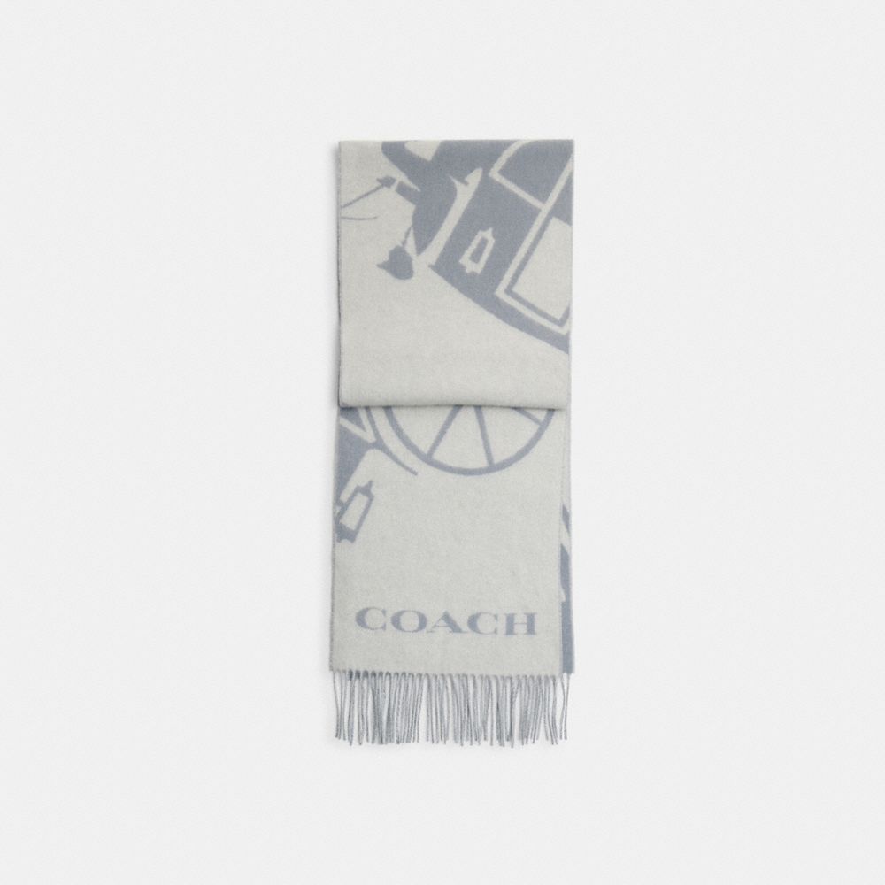 COACH®,Horse And Carriage Cashmere Muffler,Cashmere,Rectangle,Fringe,Casual,Gray,Front View