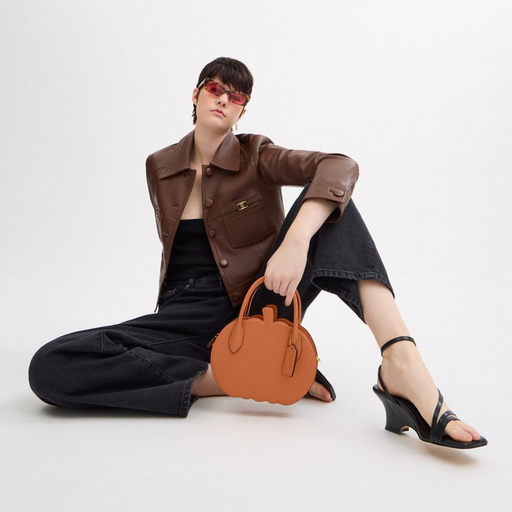COACH®,Pumpkin Bag,Leather,Crossbody,3D Embellishment,Logo,Embossed,Brass,Day Party,Brown,Detail View