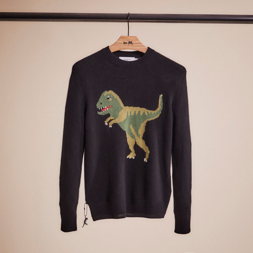 Coach dinosaur outlet jumper