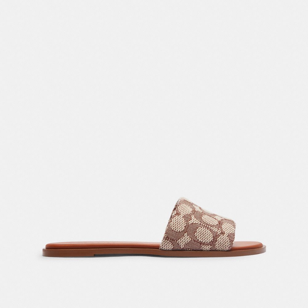 Coach Holly Signature Textile Jacquard Cocoa Burnished Amber Flat Mule In Brown