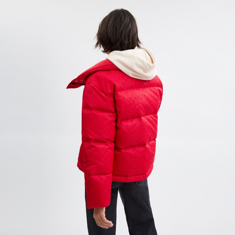 COACH®,Signature Jacquard Short Puffer In Recycled Polyamide,Polyamide,Polyester,Puffer,Down,Quilted,Sustainable,Casual,Red,Scale View