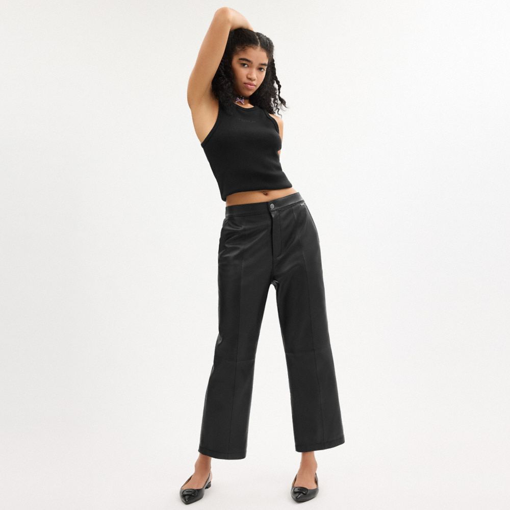 COACH®,Leather Pants,Leather,Straight,Day Party,Black,Scale View