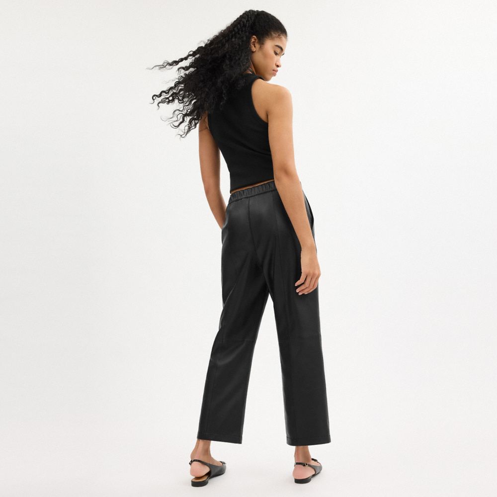 COACH®,Leather Pants,Leather,Straight,Day Party,Black,Scale View