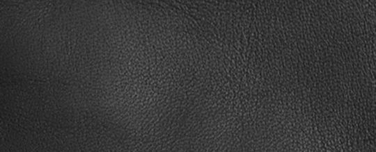 COACH®,Sculpted Signature Leather Tech Gloves,Leather,Logo,Tech Touch,Lined,Casual,Black