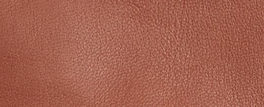 COACH®,Sculpted Signature Leather Tech Gloves,Leather,Logo,Tech Touch,Lined,Casual,Brown