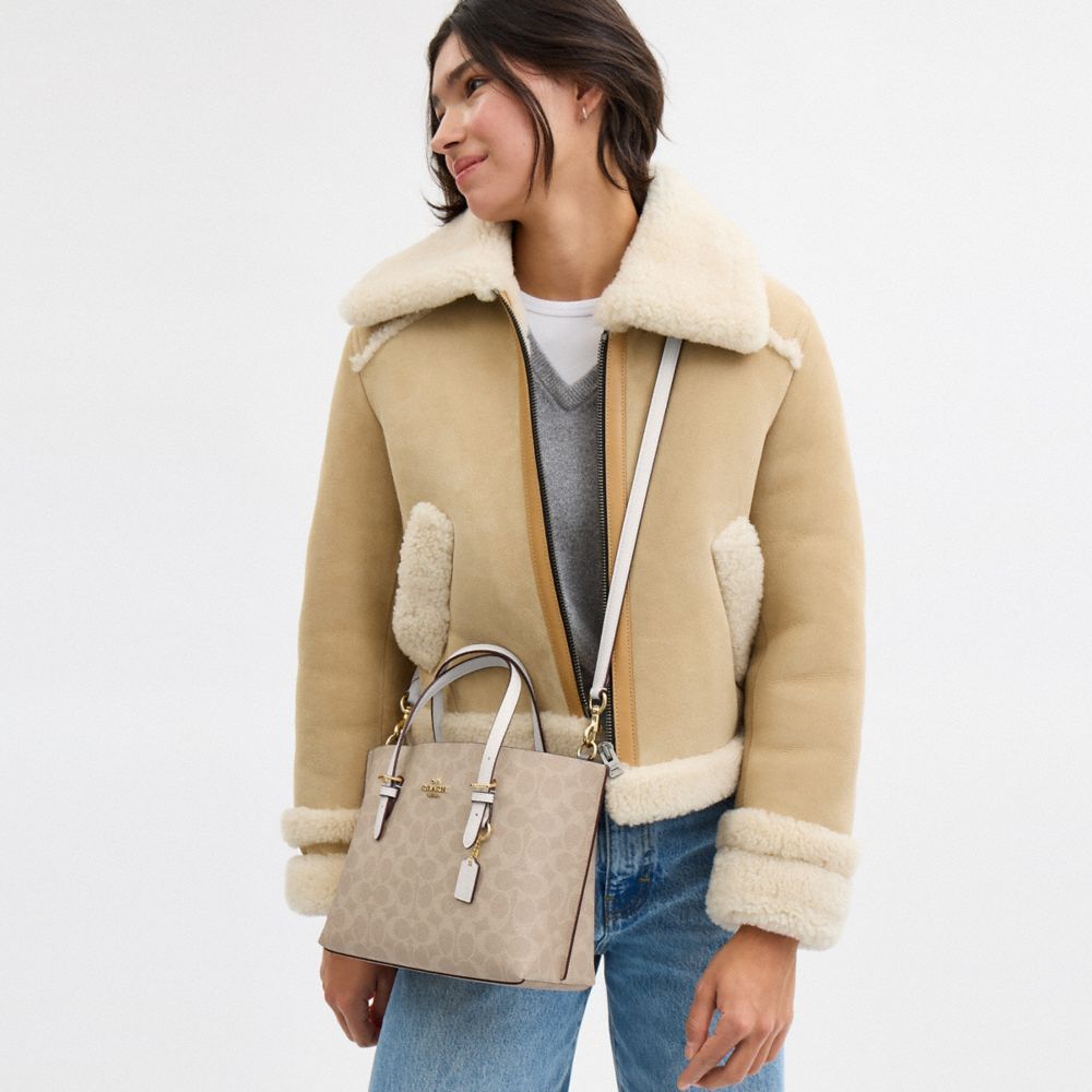 COACH®,Mollie Tote Bag 25 In Signature Canvas,Crossbody,Casual,Gray,Detail View