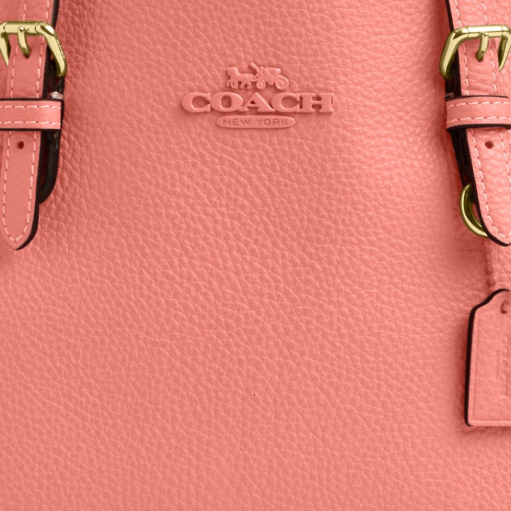 COACH®,Mollie Tote Bag 25,Crossbody,Logo,Casual,Work,Pink,Closer View