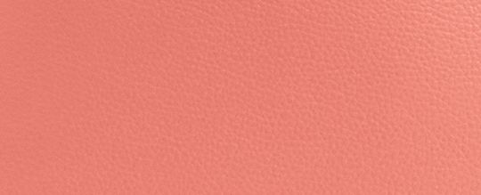 COACH®,Mollie Tote Bag,Tote,Logo,Work,Casual,Coral,Front View