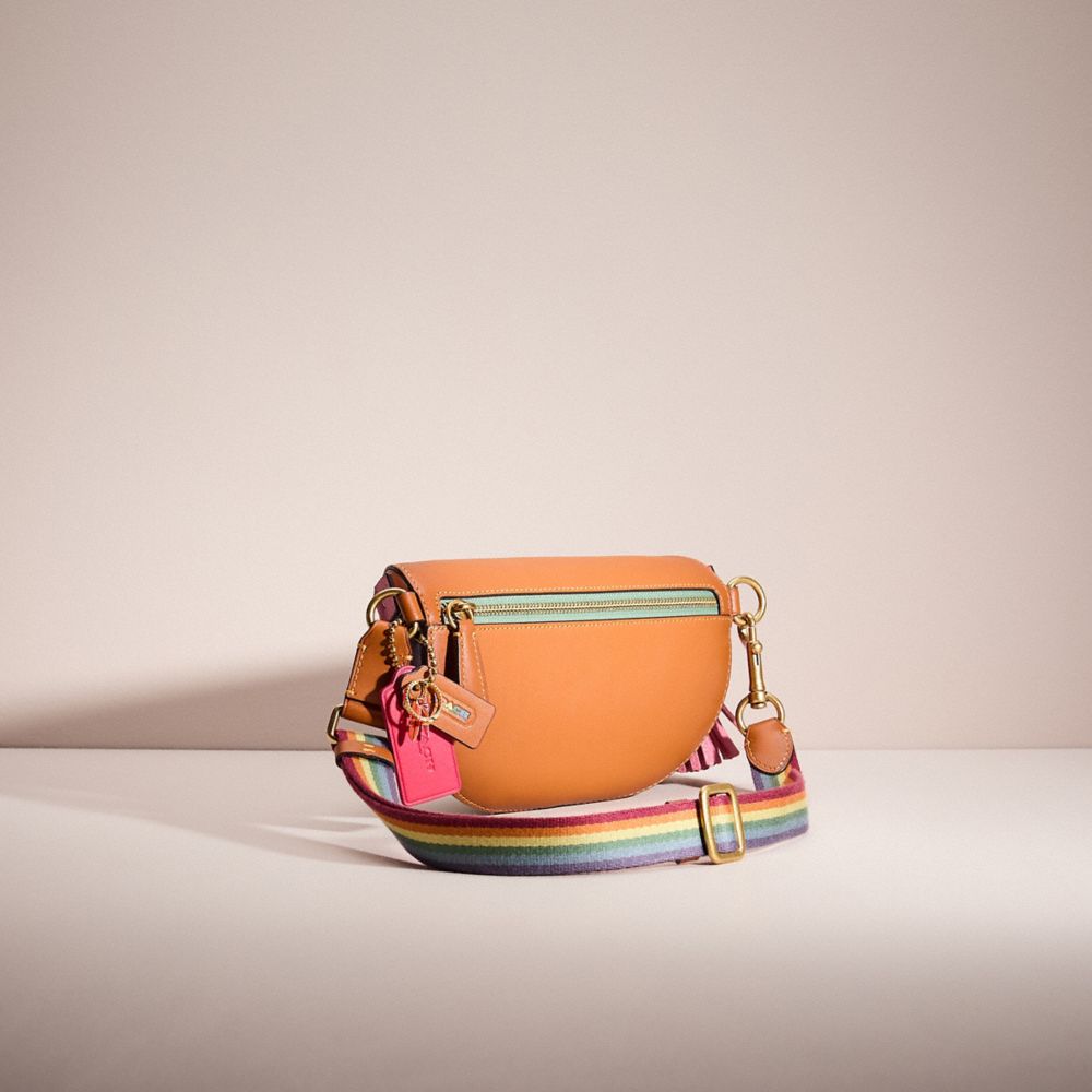 Coach rainbow belt cheap bag