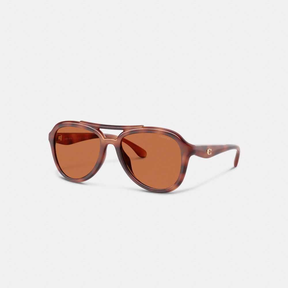 Coach brand sunglasses best sale