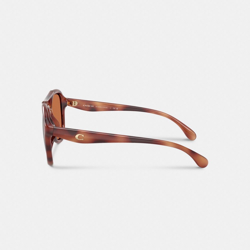 COACH®,C Hardware Pilot Sunglasses,Aviator,Logo,Metal,Word Embellishment,Integrated Nose Pads,Brow Bar,Casual,Brown,Alternate View