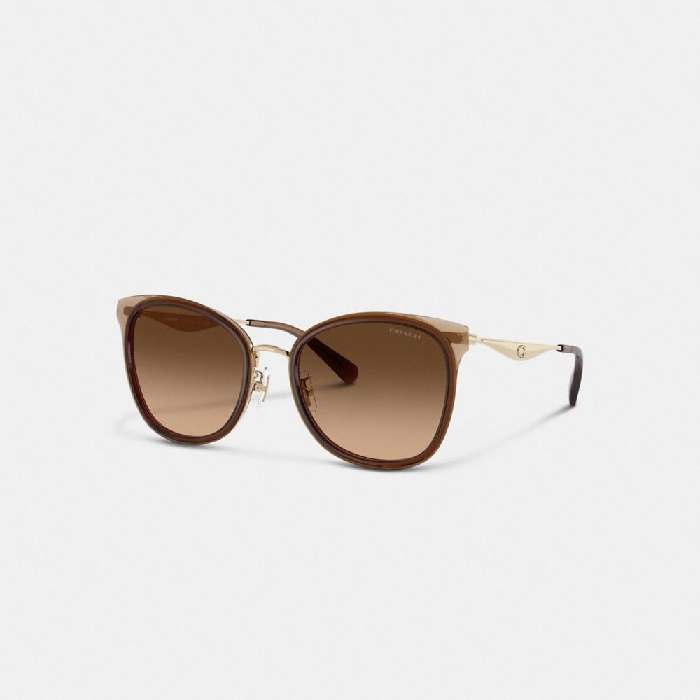 Coach Pillow Tabby Cat Eye Sunglasses In Brown Gradient