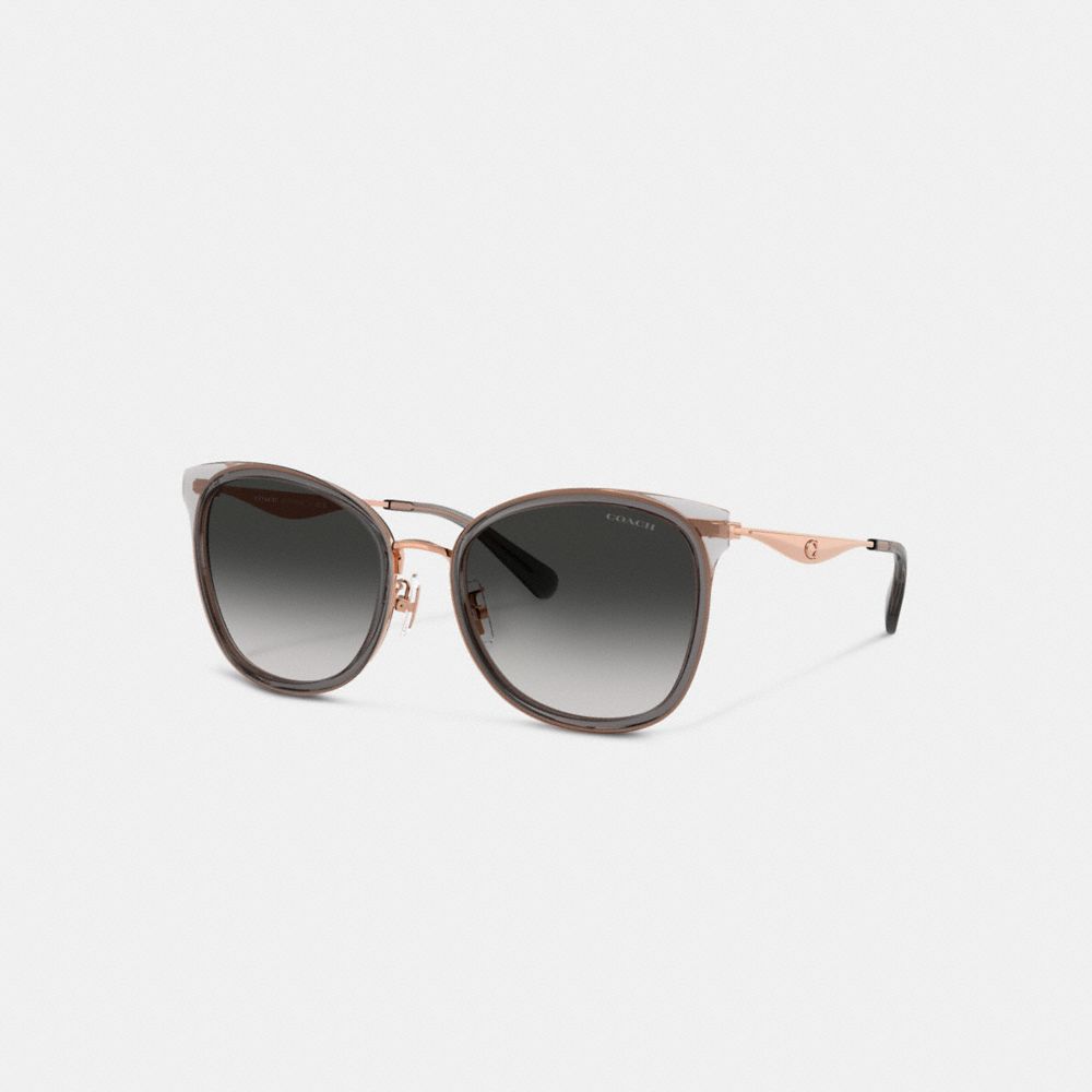 Coach Woman Sunglasses Hc7170 Cw185 In Black