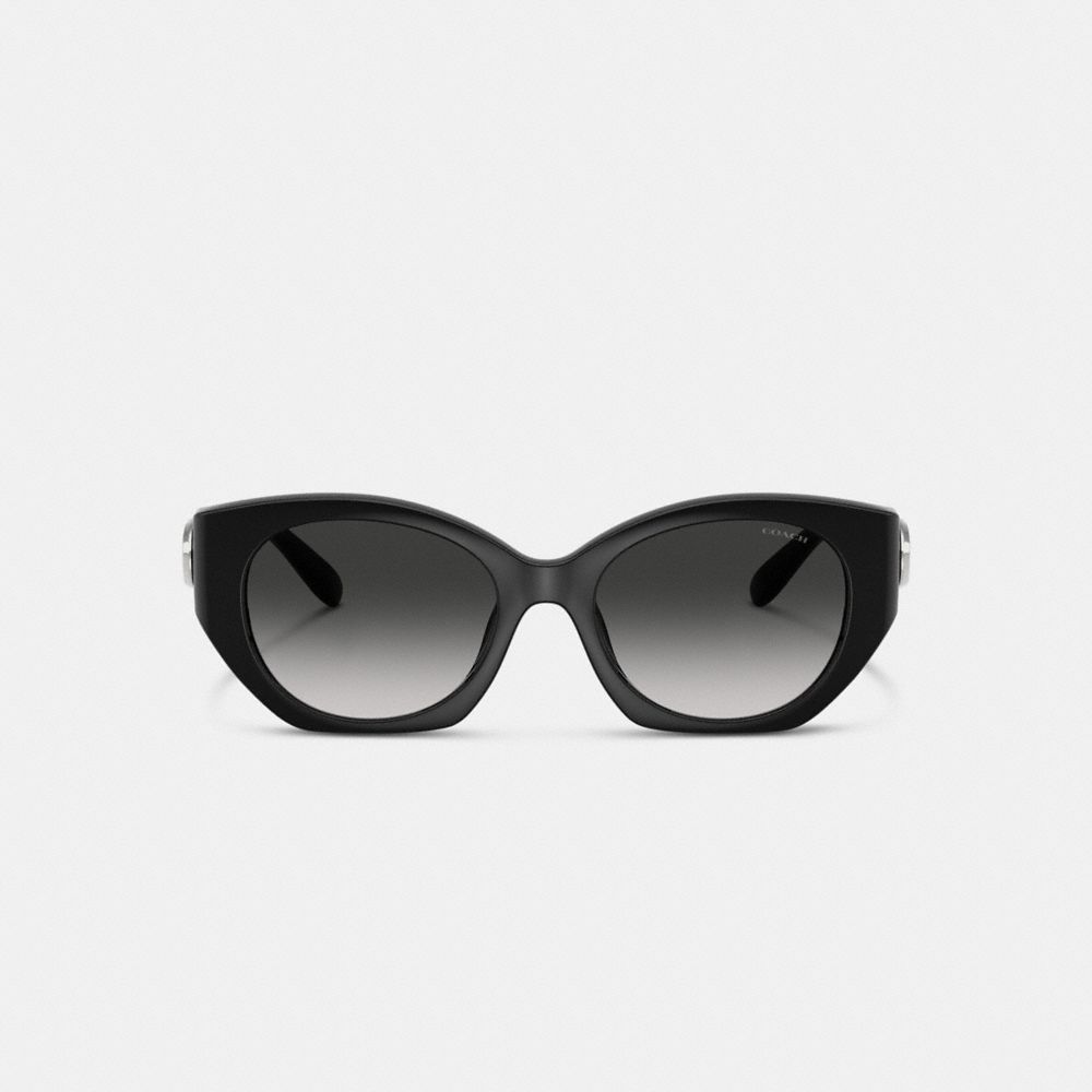 Coach In Black