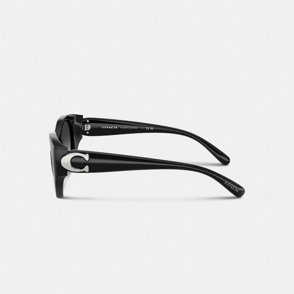 COACH®,LUNETTES DE SOLEIL OVALES IDOLE,Noir,Alternate View