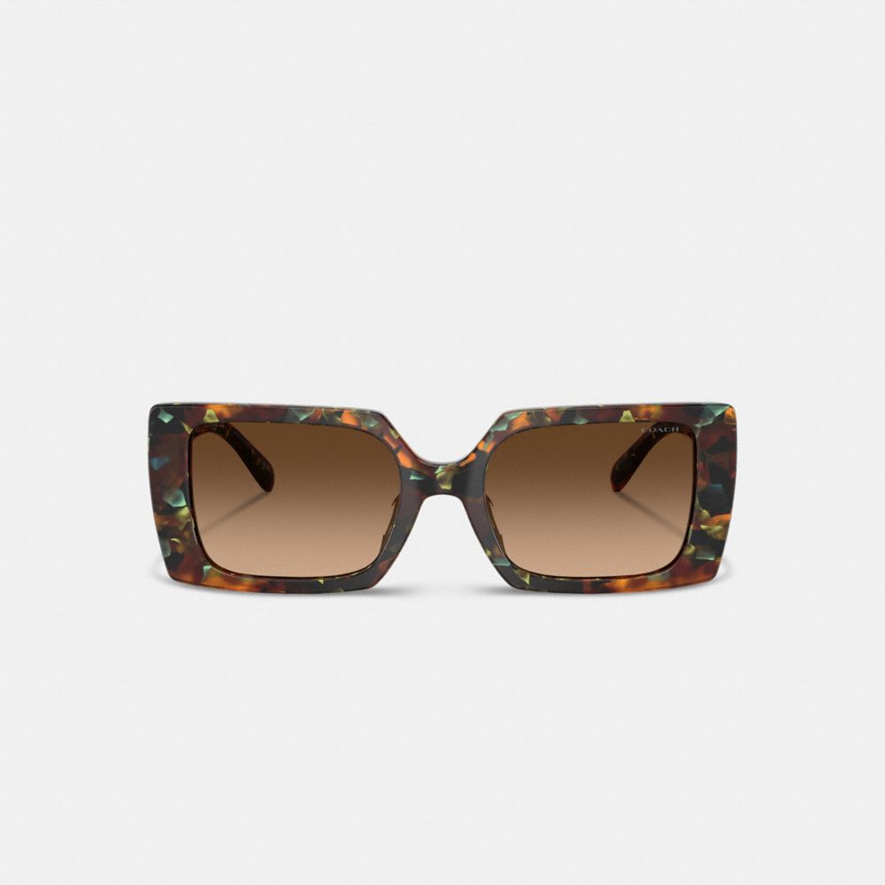 Coach Rogue Oversized Square Sunglasses In Brown Gradient