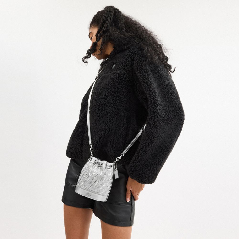 COACH®,Mini Bucket Bag With Crystal,Bucket,Crystal,Drawstring,Embellished,Rhinestones,Party,Gray,Detail View