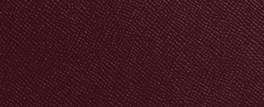 COACH&reg;,Fiona Zip Tote Bag,Leather,Tote,Logo,Embossed,Metal,Casual,Maroon