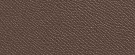 COACH&reg;,Fiona Zip Tote Bag,Leather,Tote,Logo,Embossed,Metal,Casual,Brown