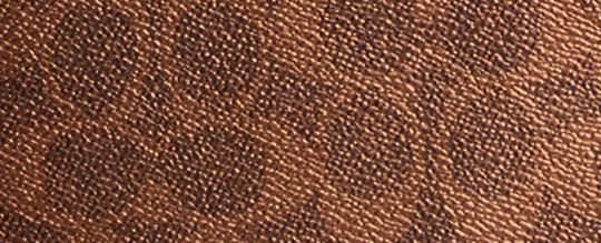 COACH&reg;,Fiona Zip Tote Bag In Signature Canvas,Canvas,Leather,Tote,Casual,Brown