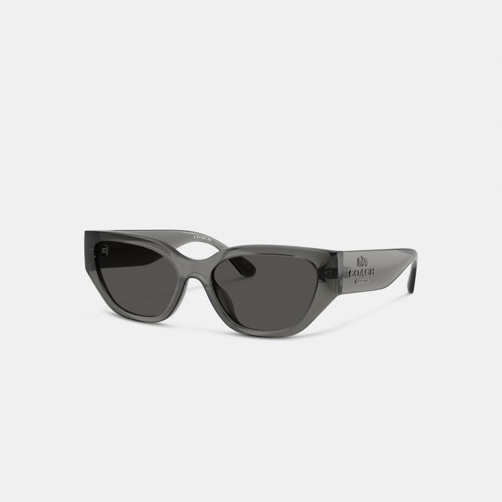 Coach sunglasses outlet store online sale