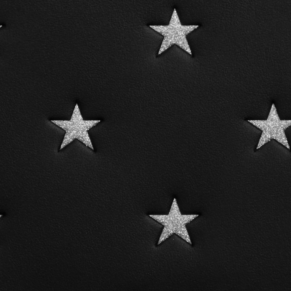 COACH®,ノートブック・スター プリント,ペットリーシュなど,