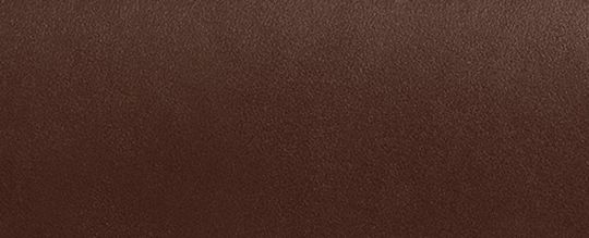 COACH®,Evie Long Wallet With Chain,Crossbody,Metal,Logo,Pen Holder,Casual,Brown