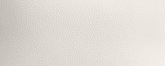 COACH®,Willow Soft Bucket Bag,Leather,Bucket,Logo,Metal,Brass,Casual,White