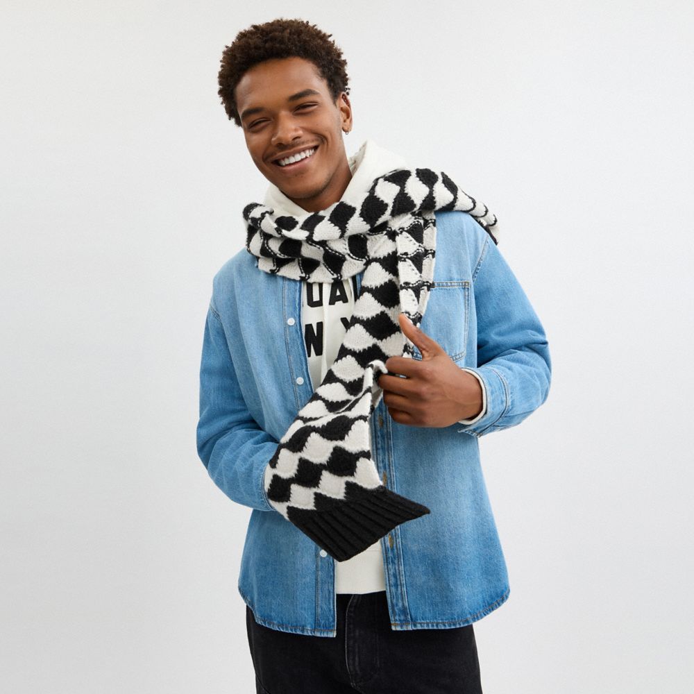 COACH®,Bobble Stripe Muffler,Lambskin,Rectangle,Applique,Logo,Casual,Multi Color,Detail View