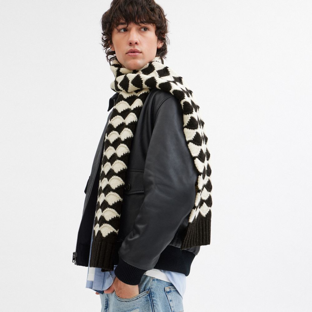 COACH®,Bobble Stripe Muffler,Lambskin,Rectangle,Applique,Logo,Casual,Multi Color,Angle View