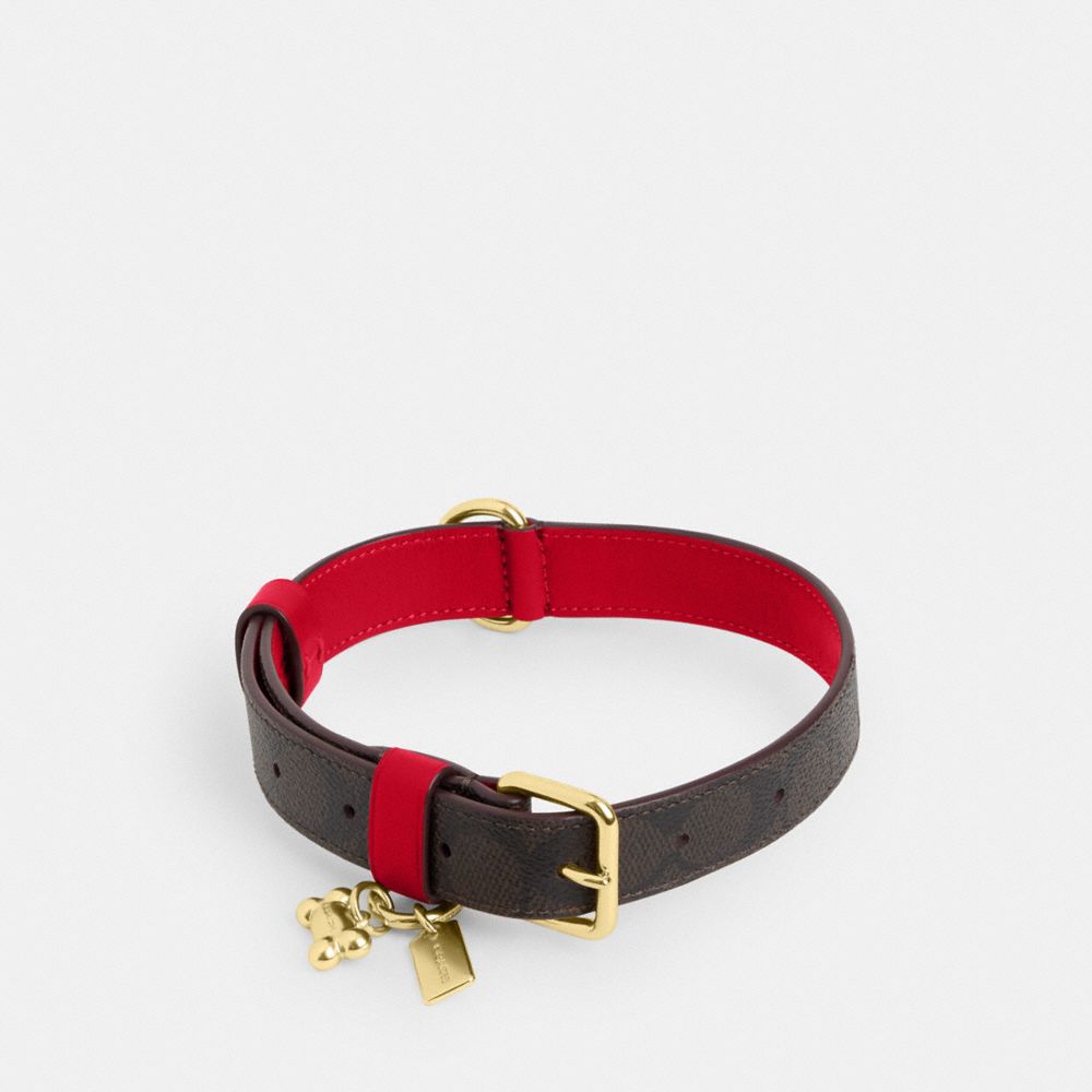 Coach outlet dog collar best sale