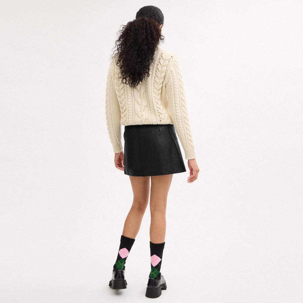 COACH®,Asymmetrical Leather Skirt,Viscose,Recycled Polyester,Lambskin,A-Line,Logo,Button,Day Party,Black,Scale View