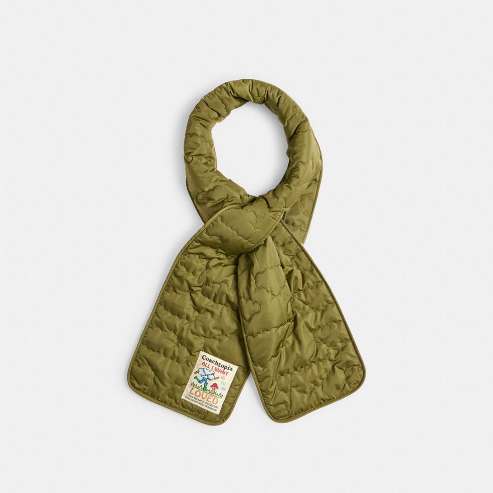 COACH®,Coachtopia Loop Scarf With Sherpa Lining,,Front View