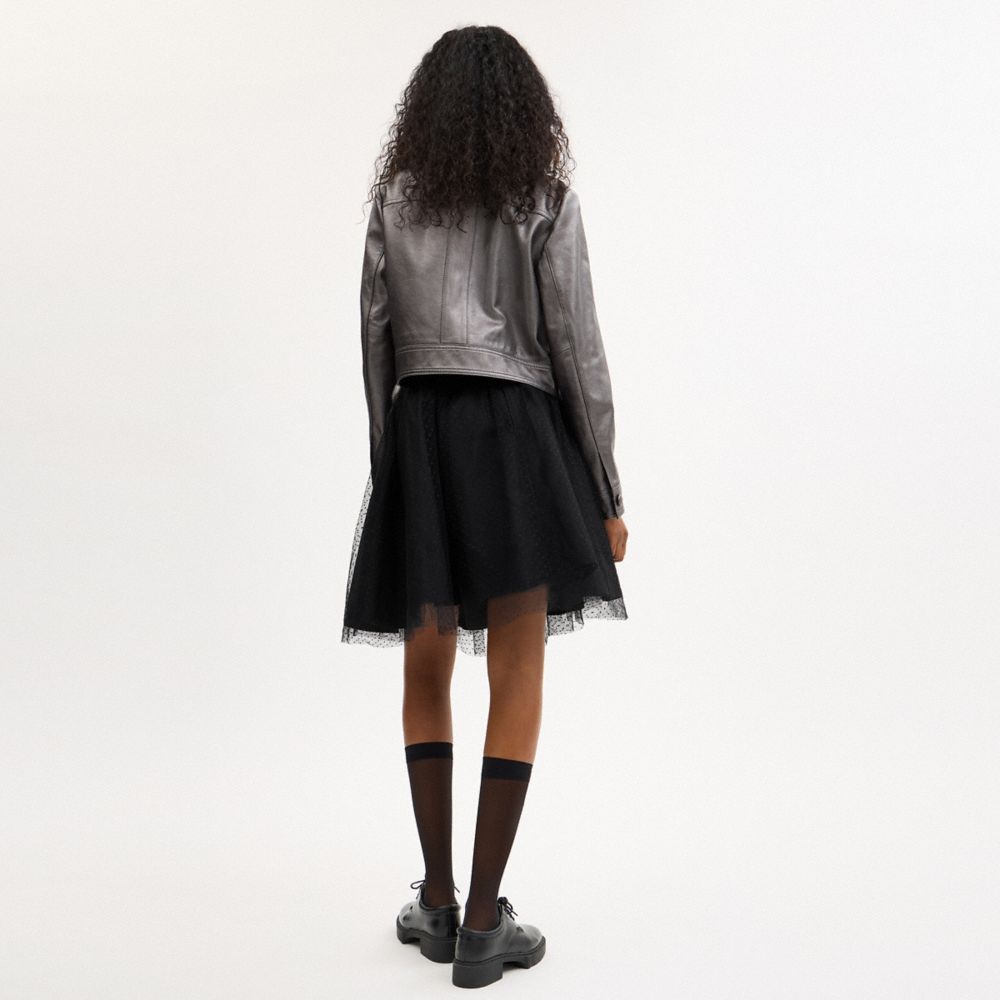 COACH®,JUPE MIDI EN TULLE,Noir,Scale View