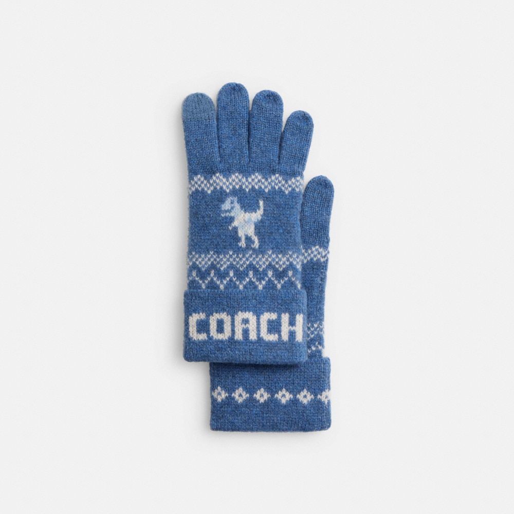 COACH®,Rexy Fair Isle Print Knit Gloves,Blue,Front View