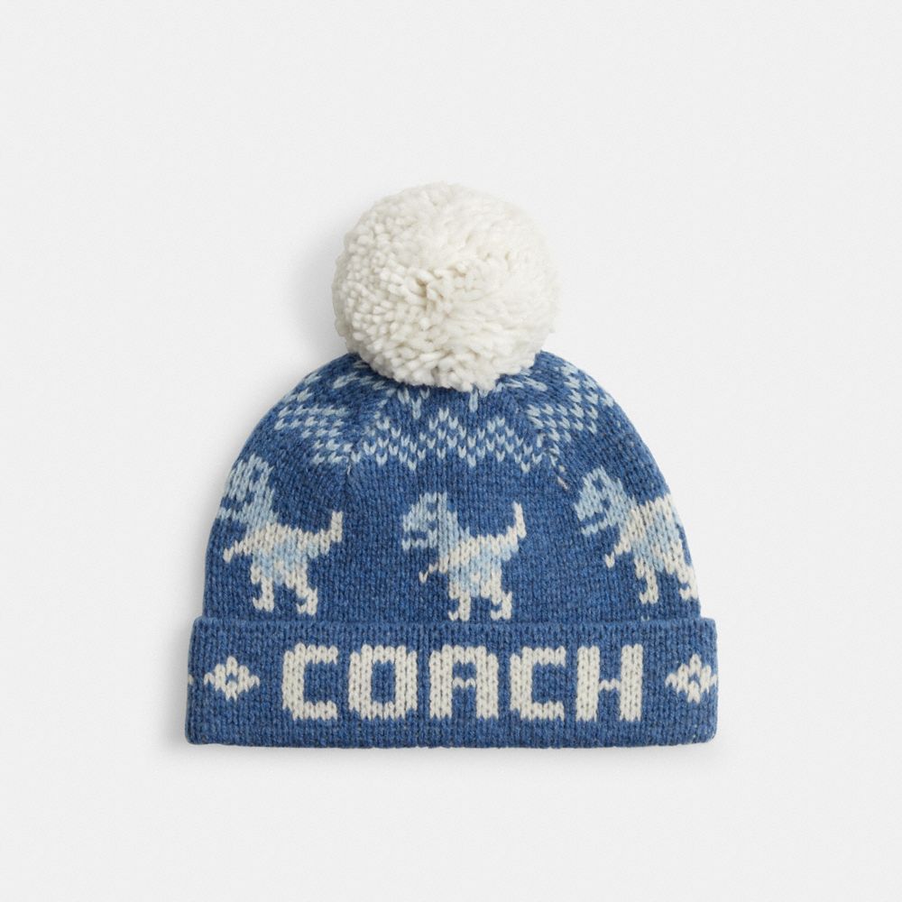 COACH®,Rexy Fair Isle Print Beanie,Wool,Beanie,Pom Pom,Casual,Blue,Front View