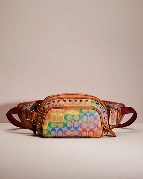 Upcrafted Hitch Belt Bag In Rainbow Signature Canvas