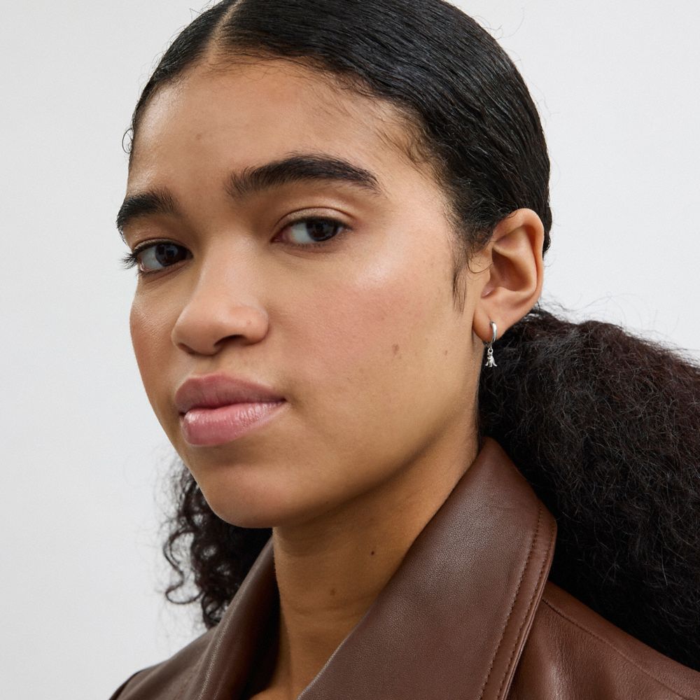 寄付　対象　コーチ　ロック アンド キー ミスマッチ ハギー ピアス　シルバー COACH（コーチ）の「ロック アンド キー ミスマッチ スタッド