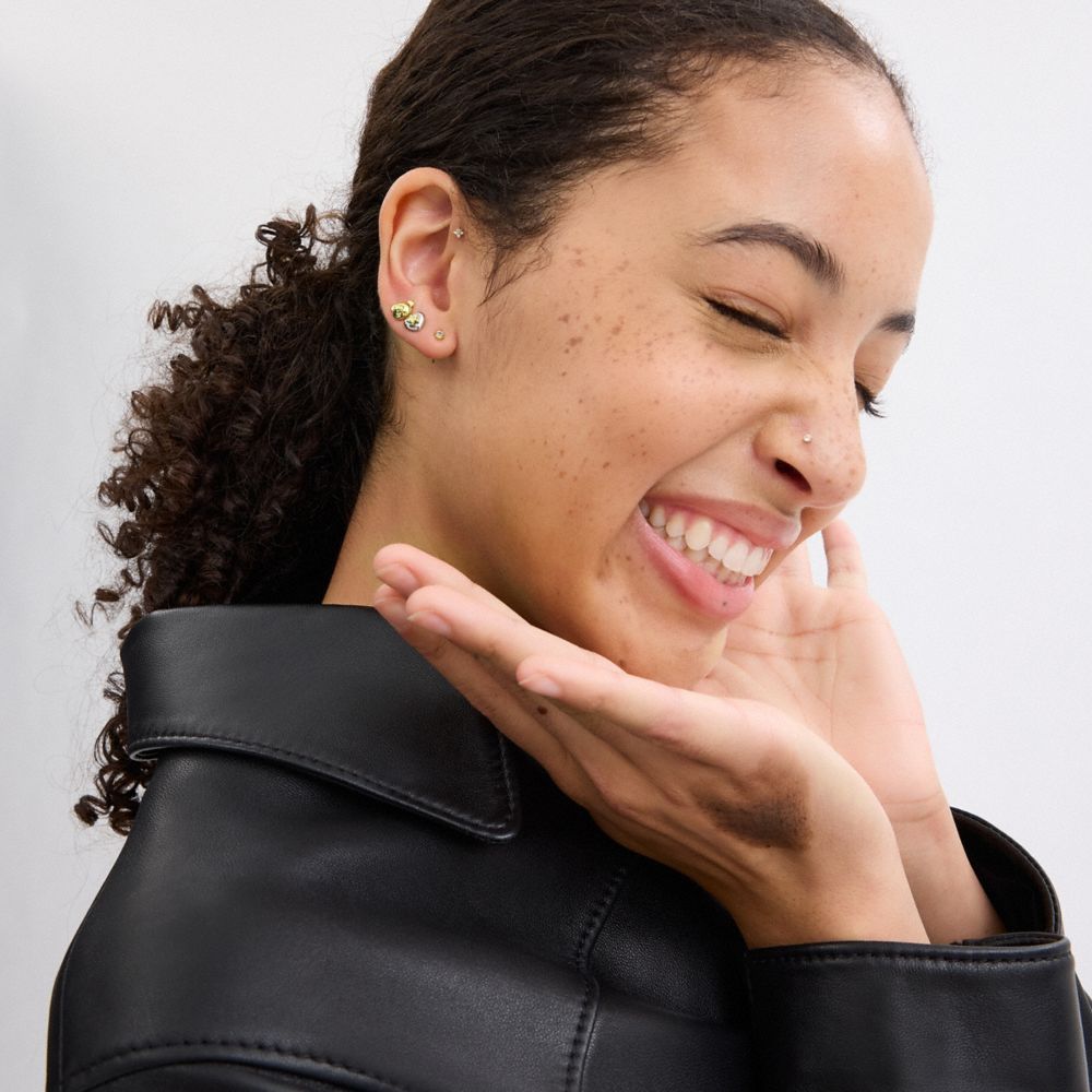 COACH®,テディ ベア ハート スタッド ピアス セット,ピアス,