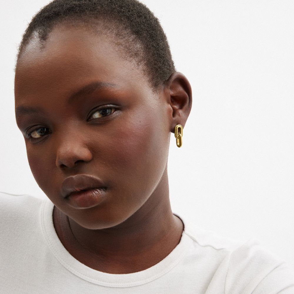 COACH®,Double Chain Link Earrings,Dangle Earring,Cubic Zirconia,Chain Link,Titanium,Casual,,Detail View