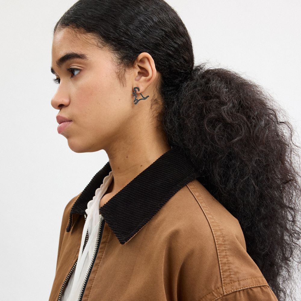 COACH®,Cut Out Rexy Earrings,Ear Climber,Studs,Crystal,Glass,Novelty Embellishment,Gem Embellishment,Brass,Day Party,Casual,Black,Detail View