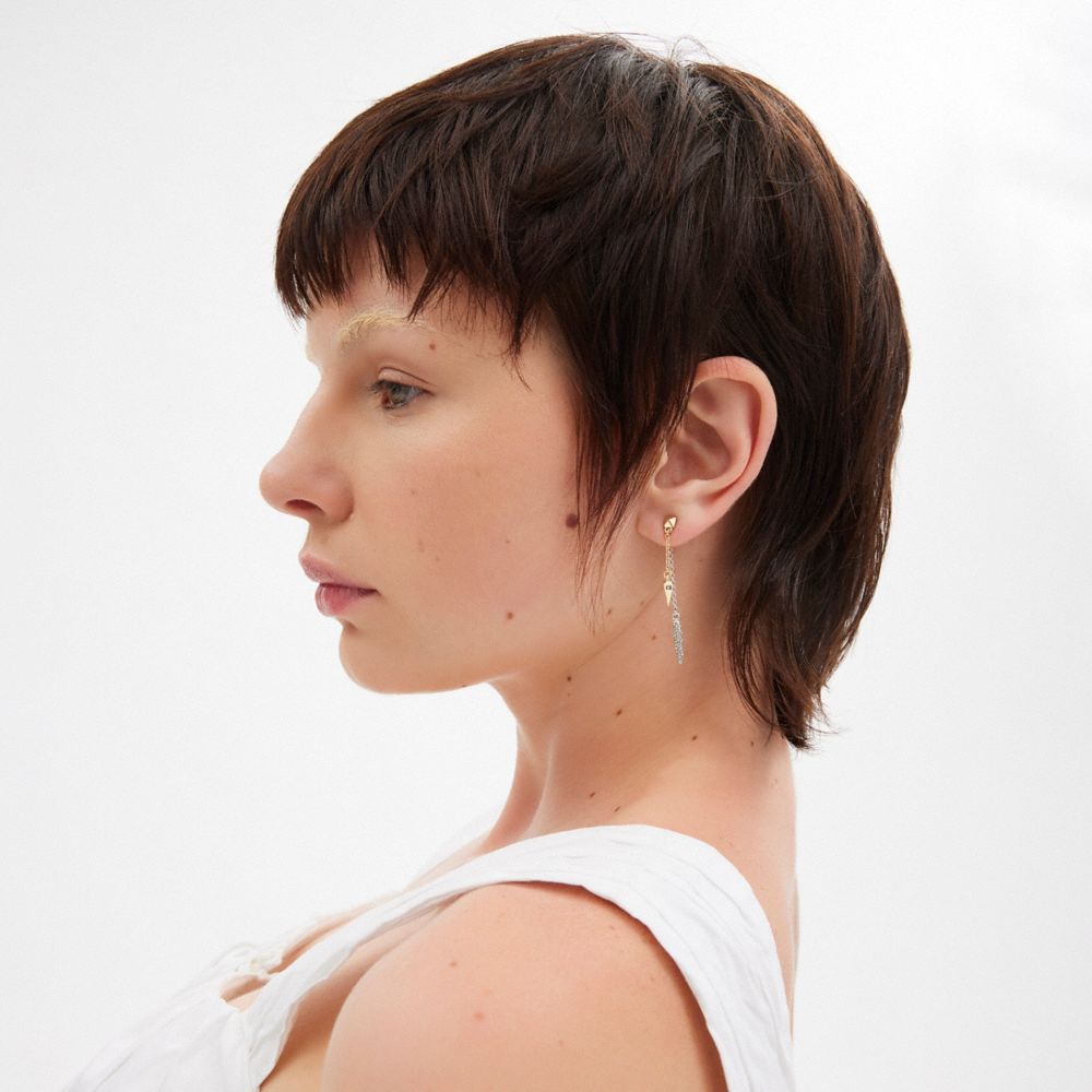 COACH®,Pavé Spike Front Back Earrings,Earring Back,Dangle Earring,Cubic Zirconia,Chain Link,Gem Embellishment,Logo,Spikes,...,Clear,Detail View