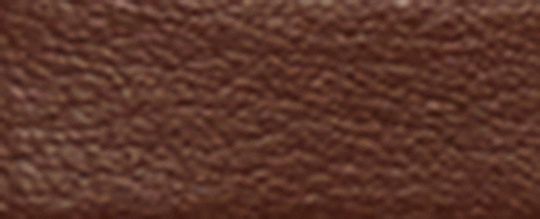 COACH®,BRELOQUES DE SAC À CLIP EN TOILE EXCLUSIVE,Or/Marron orangé/Brun,Front View